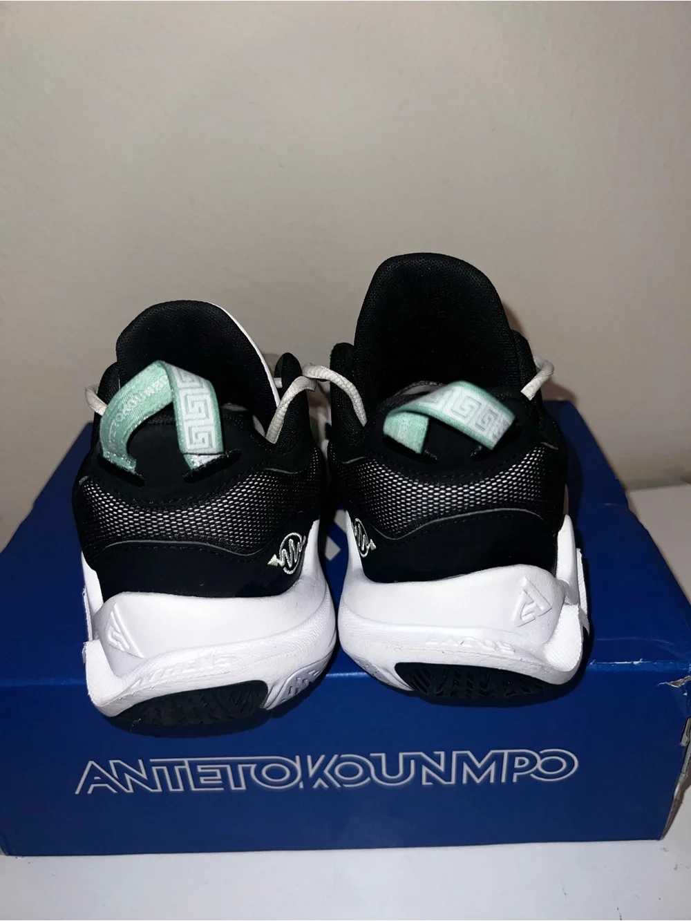 The Nike Gianni’s immortality 2